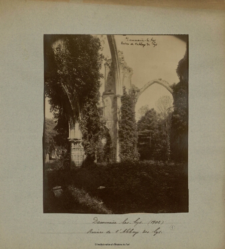 Dammaries-les-lys, ruines de l'Abbaye des lys