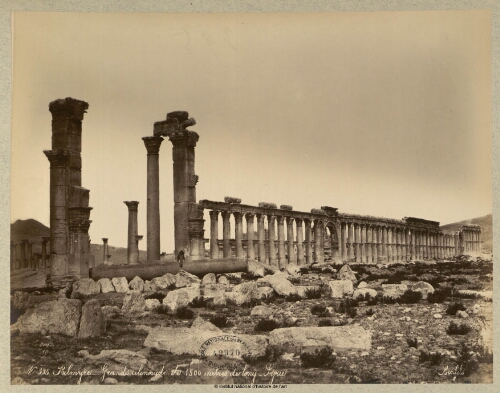 Palmyre. Grande colonnade...