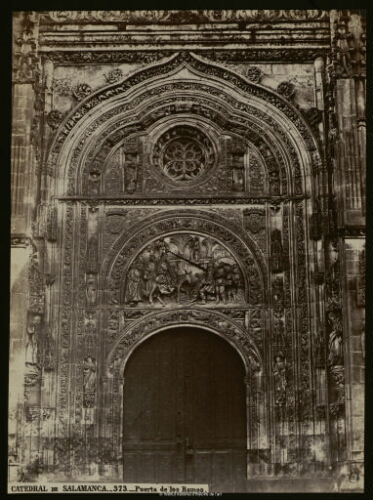 Catedral de Salamanca. Puerta de Los Ramos