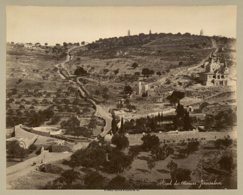 Mont des oliviers. Jérusalem