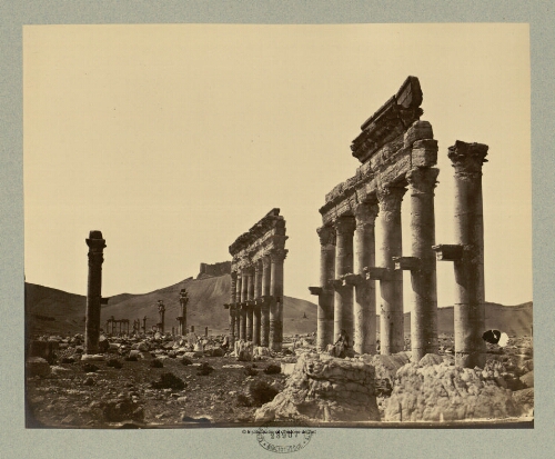 Palmyre. La grande colonnade