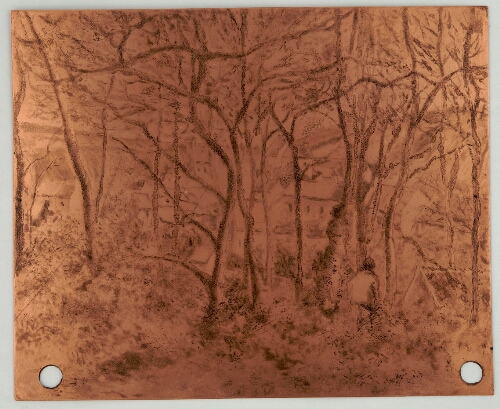 Paysage sous bois, à l'Hermitage (Pontoise) [plaque gravée]