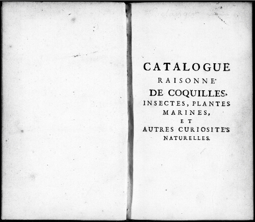 Catalogue raisonné de coquilles et autres curiosités naturelles [...] : [vente du 30 janvier 1736]