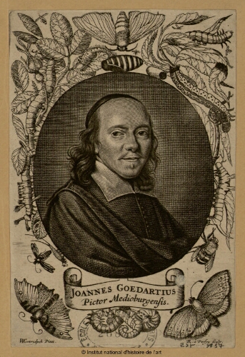 Joannes Goedartius, pictor Medioburgensis