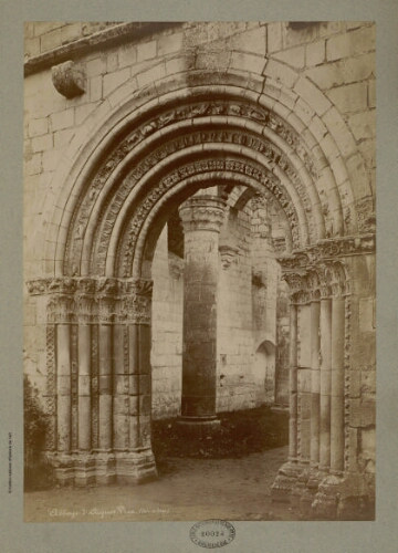 Abbaye d'Aigues-Vive (Loir-&-Cher)
