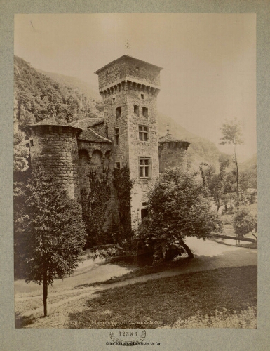 Gorges du Tarn. Château de la Caze