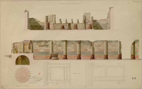 Pompeia 1828, coupes de la basilique (état actuel)