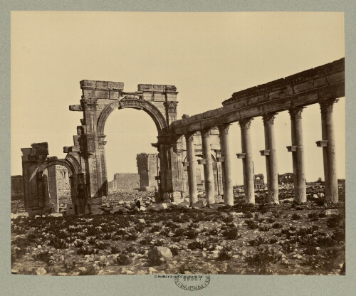 Palmyre. Arc et colonnade