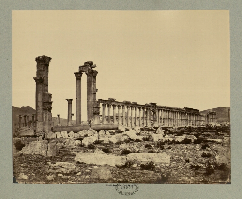 Palmyre. La grande colonnade